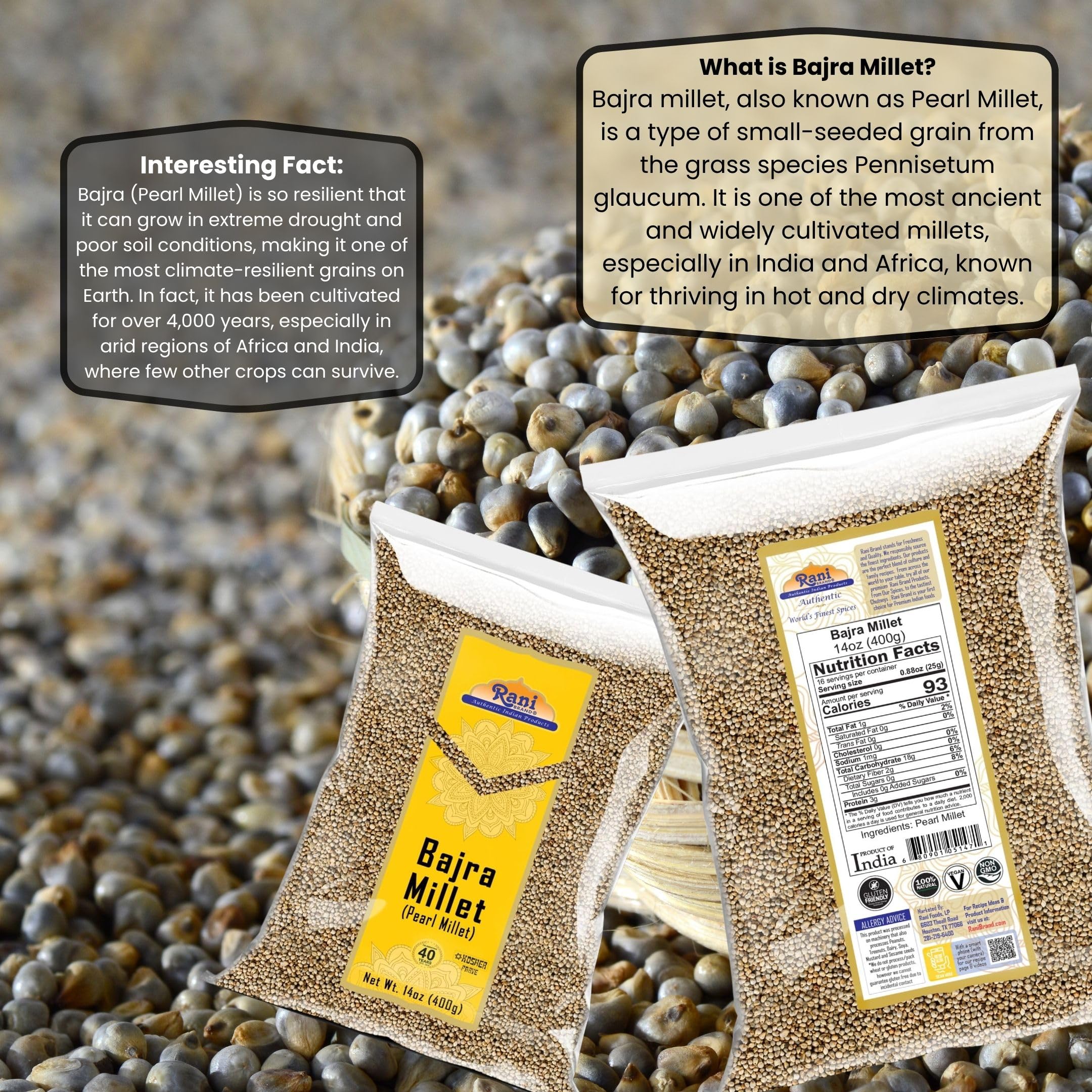 Rani Bajri Millet (Pearl Millet) 14oz (400g) ~ All Natural | Vegan | Gluten Friendly | NON-GMO | Kosher | Indian Origin - Image 3