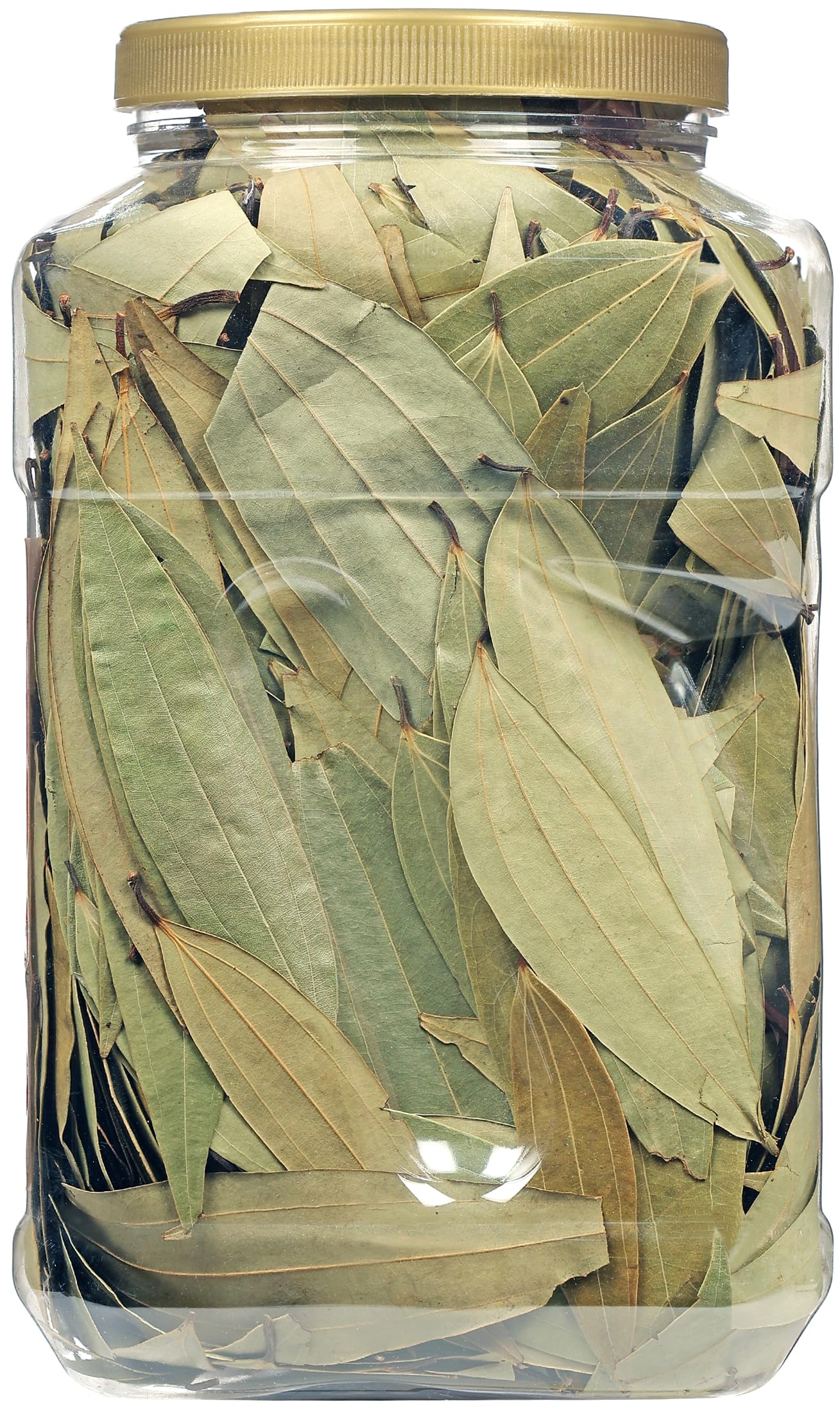 Rani Bay Leaves {8 Sizes Available} - Image 31