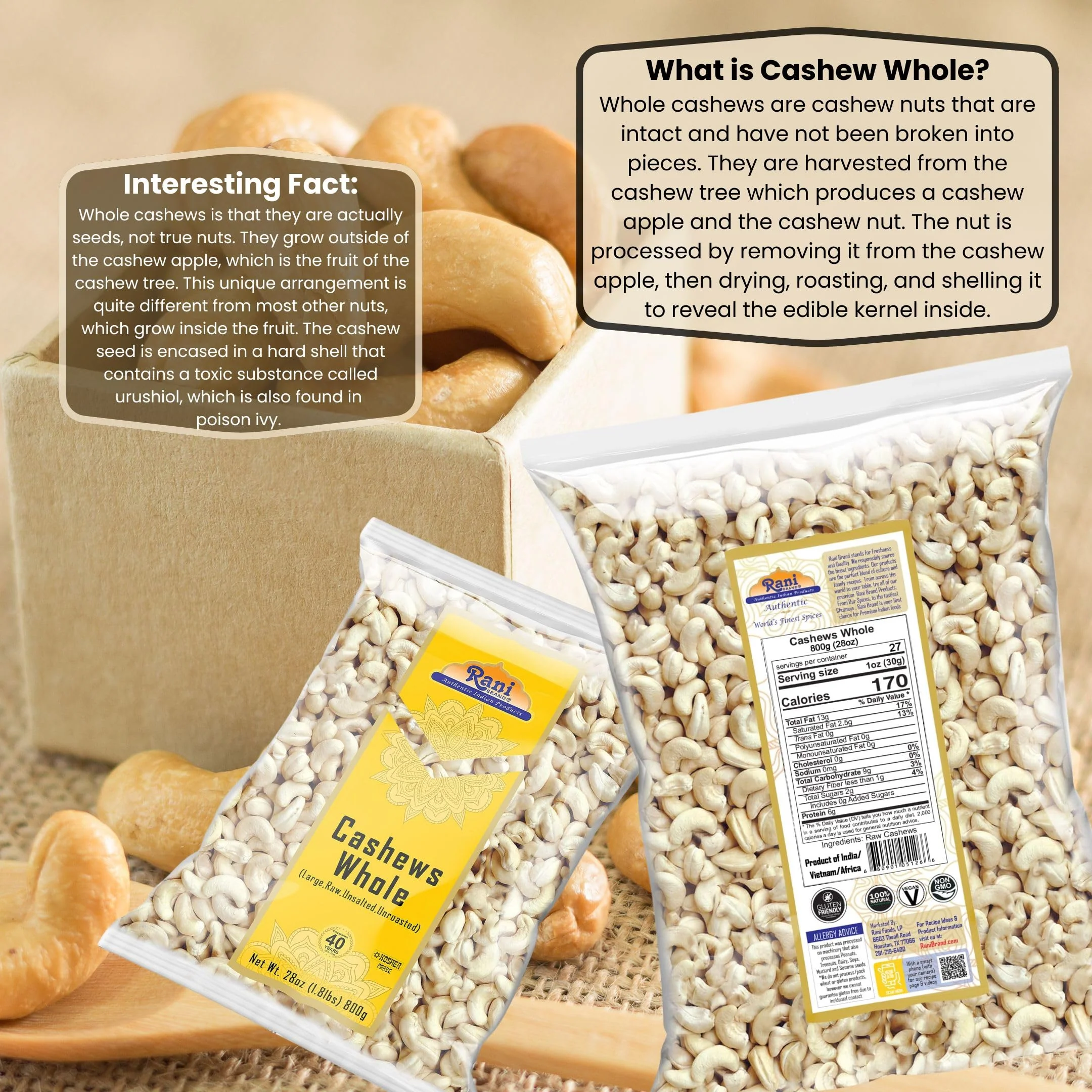 Rani Raw Cashews Whole (uncooked, unsalted) 28oz (800g) ~ All Natural, No Preservatives | Vegan | NON-GMO | Kosher | Gluten Friendly - Image 3