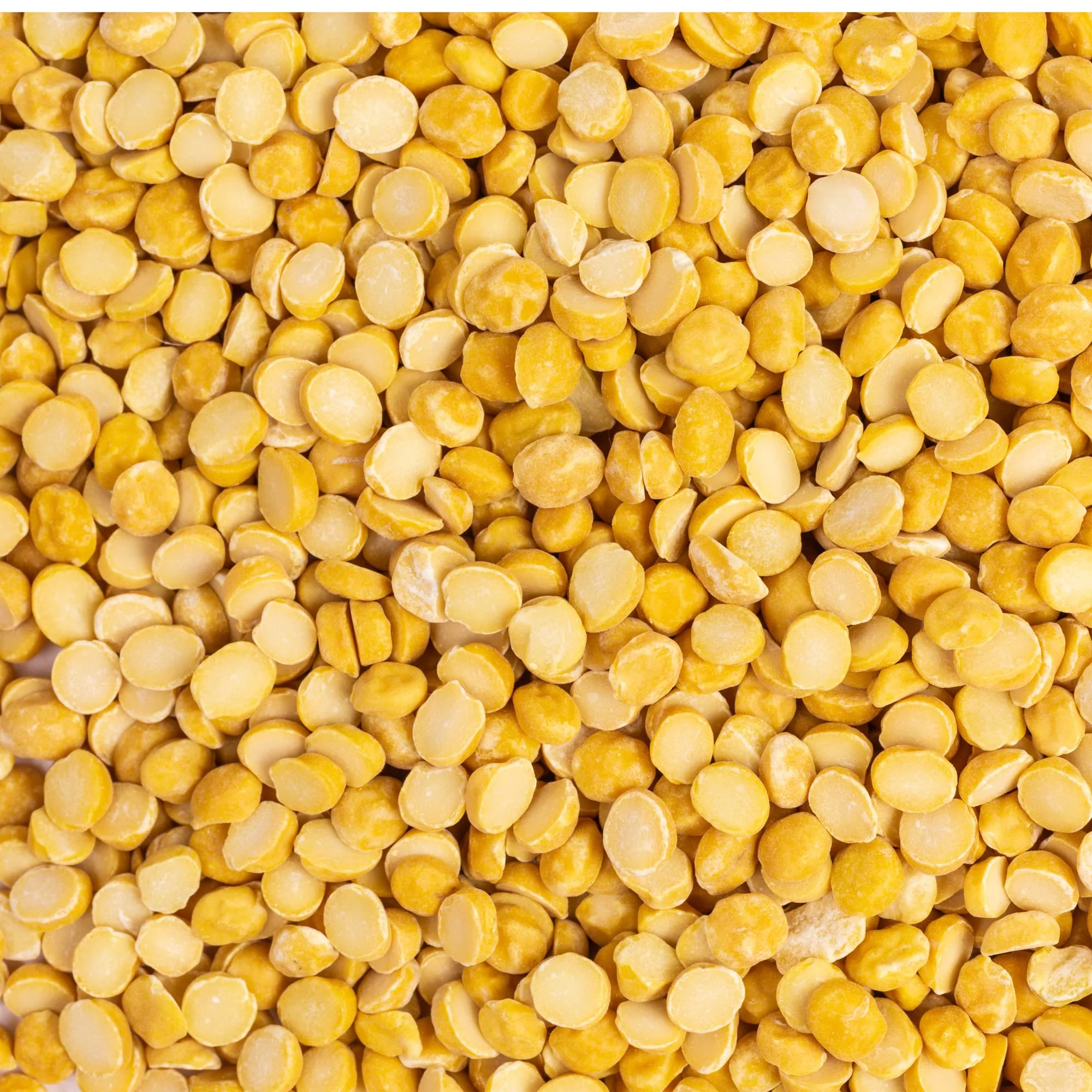 Rani Chana Dal {3 Sizes Available} - Image 24