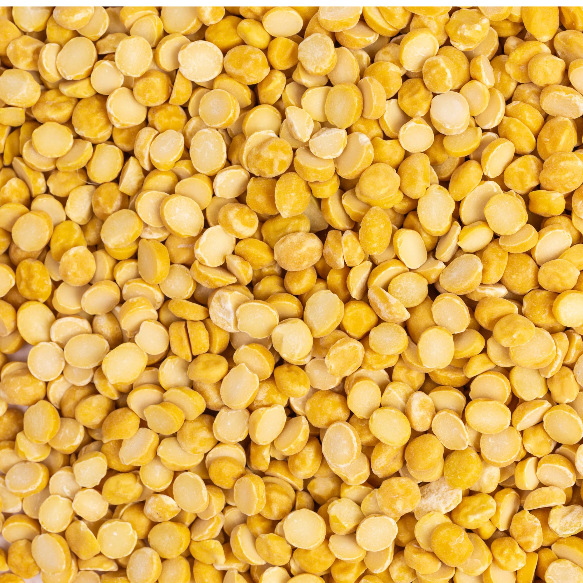 Rani Chana Dal {3 Sizes Available} - Image 8