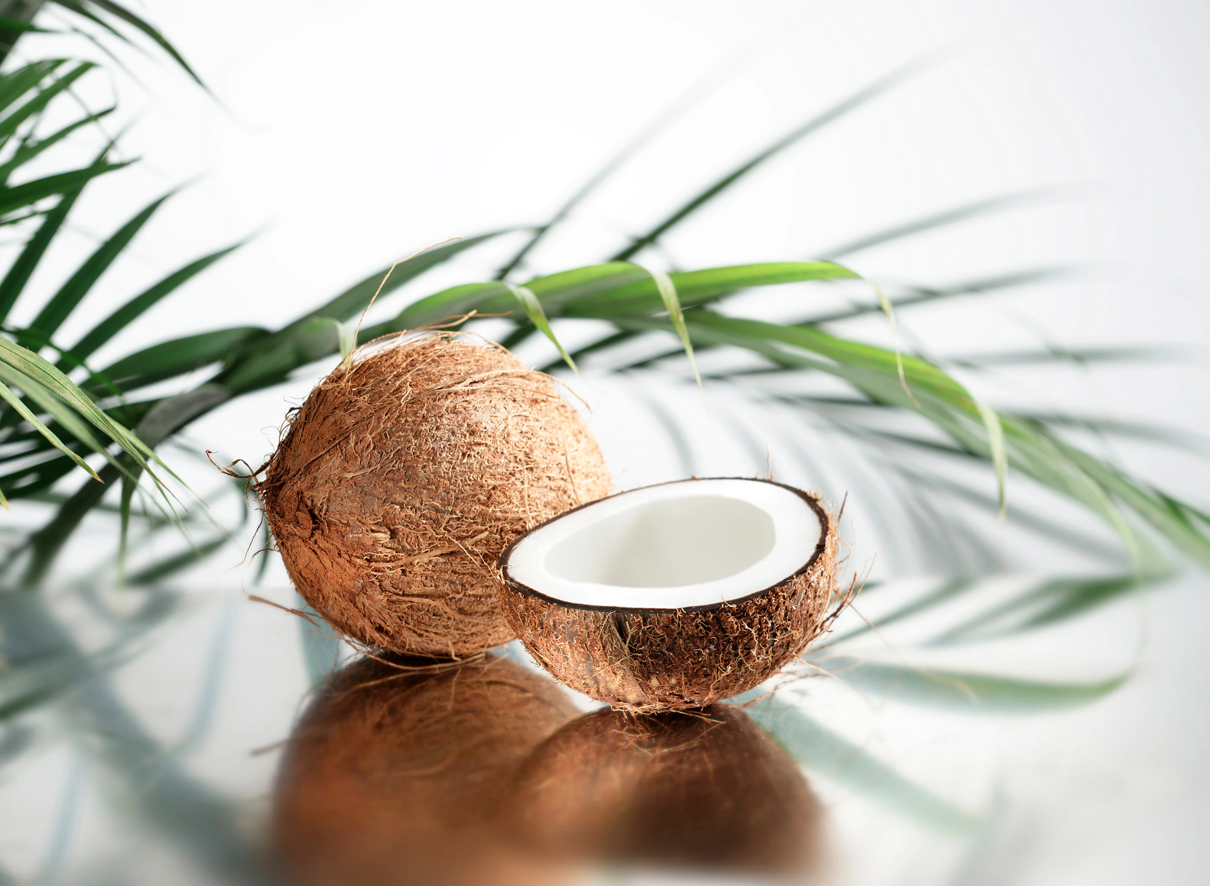 Rani Coconut (Copra) Whole Brown with Water, Approx. 1.5lbs each {3 Variations Available} - Image 5