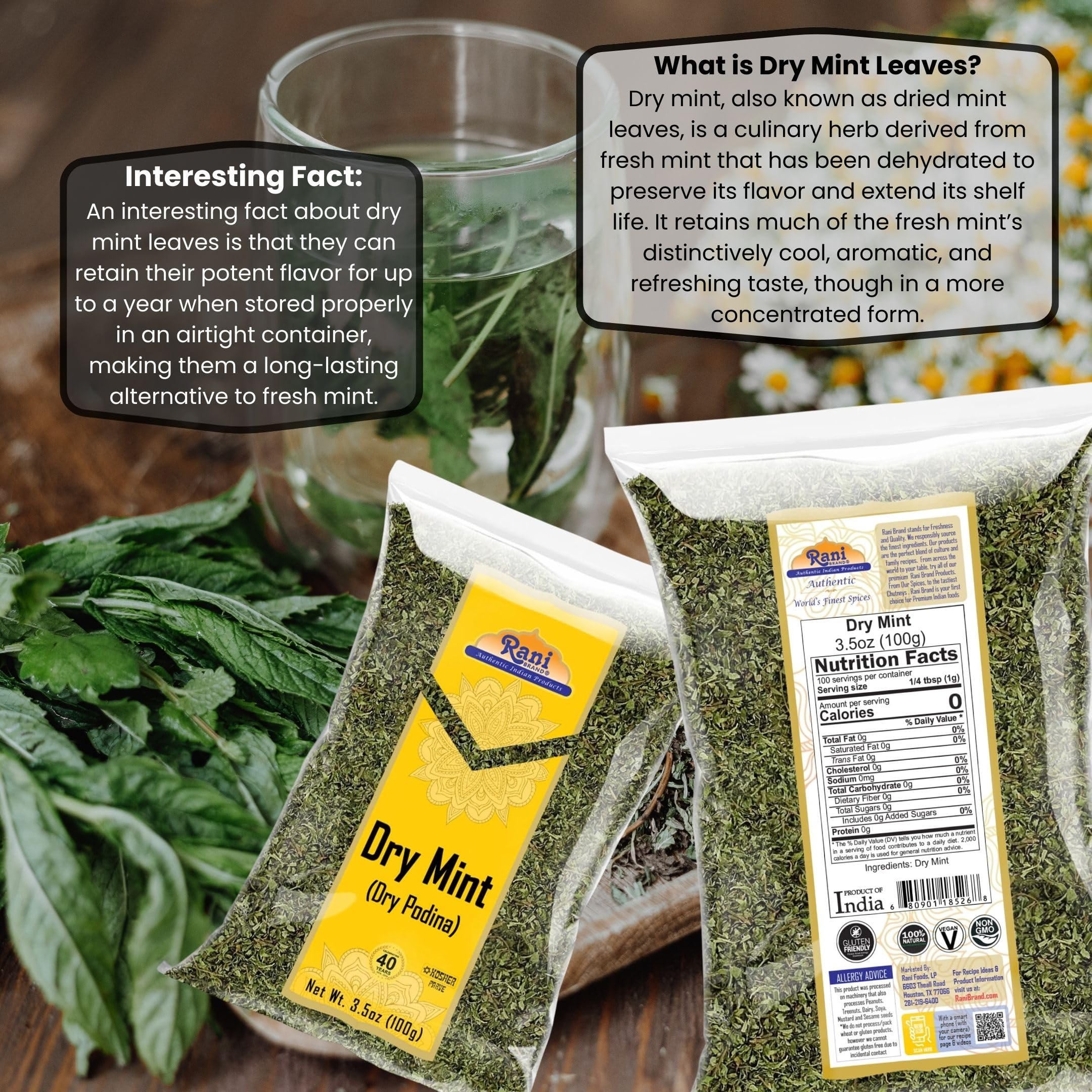 Rani Dry Mint Leaves (Podina Leaf) Spice, Dried Herb 3.5oz (100g) ~ All Natural | Gluten Friendly | NON-GMO | Kosher | Vegan | Indian Origin - Image 3