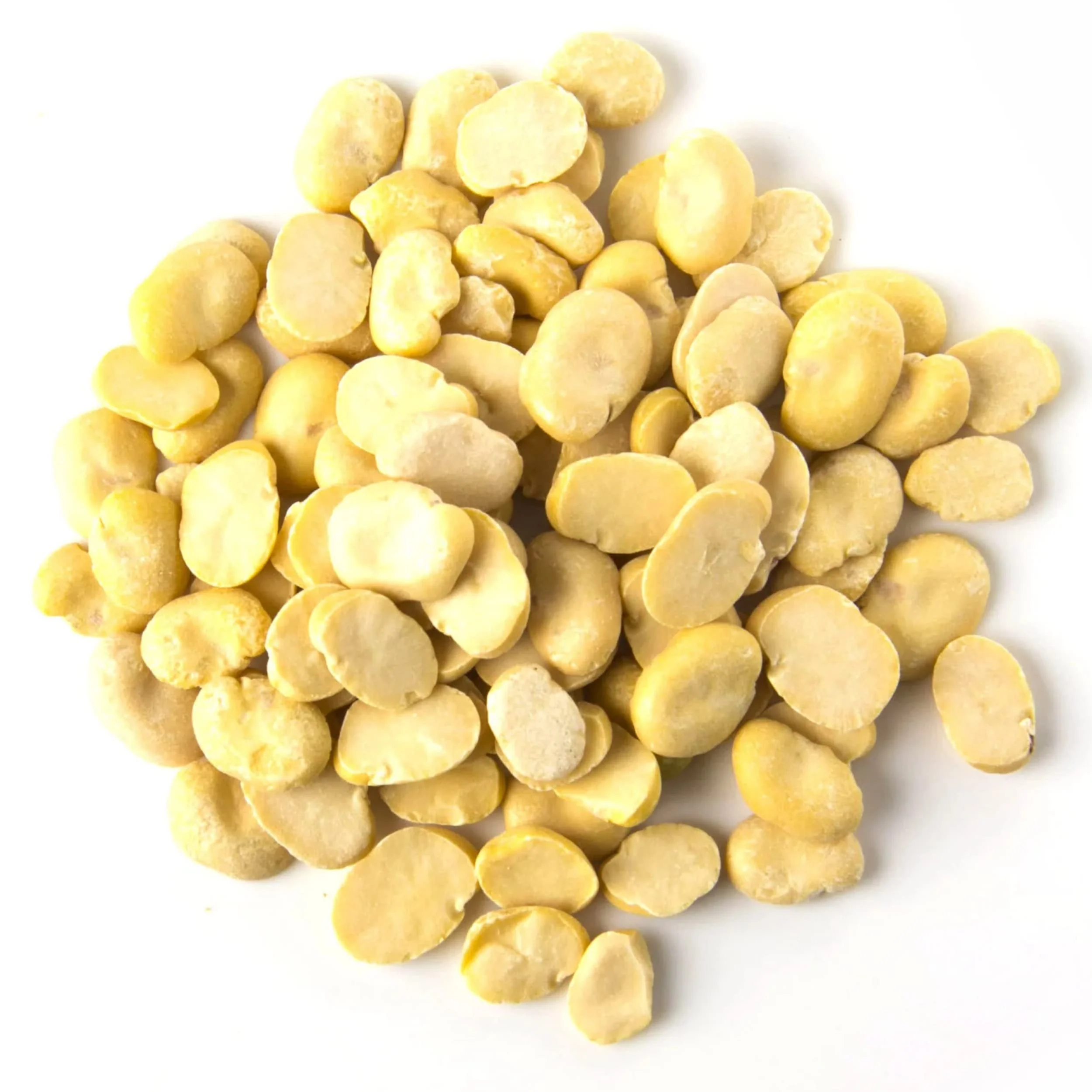 Rani Fava Beans  {2 Sizes Available} - Image 13