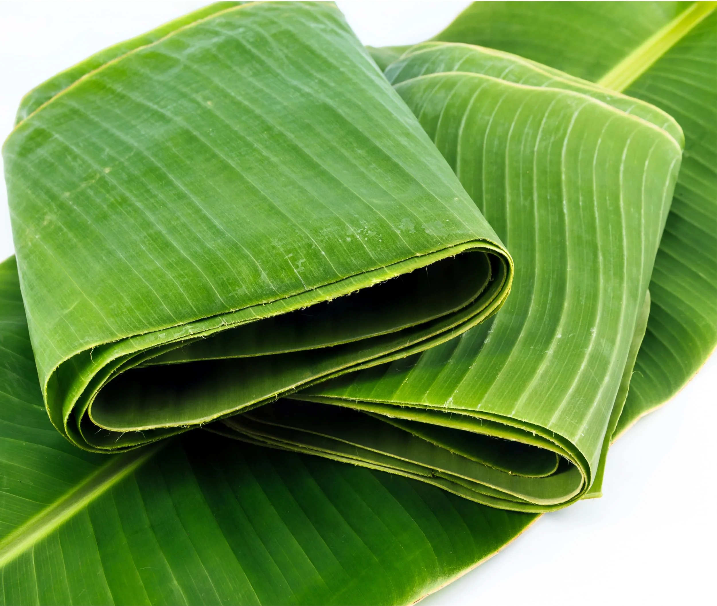 Rani Fresh Banana (Kela) Leaves Approximately 16oz (454g) 1lb ~ All Natural | Vegan | Gluten Friendly | NON-GMO | Product of USA - Image 5