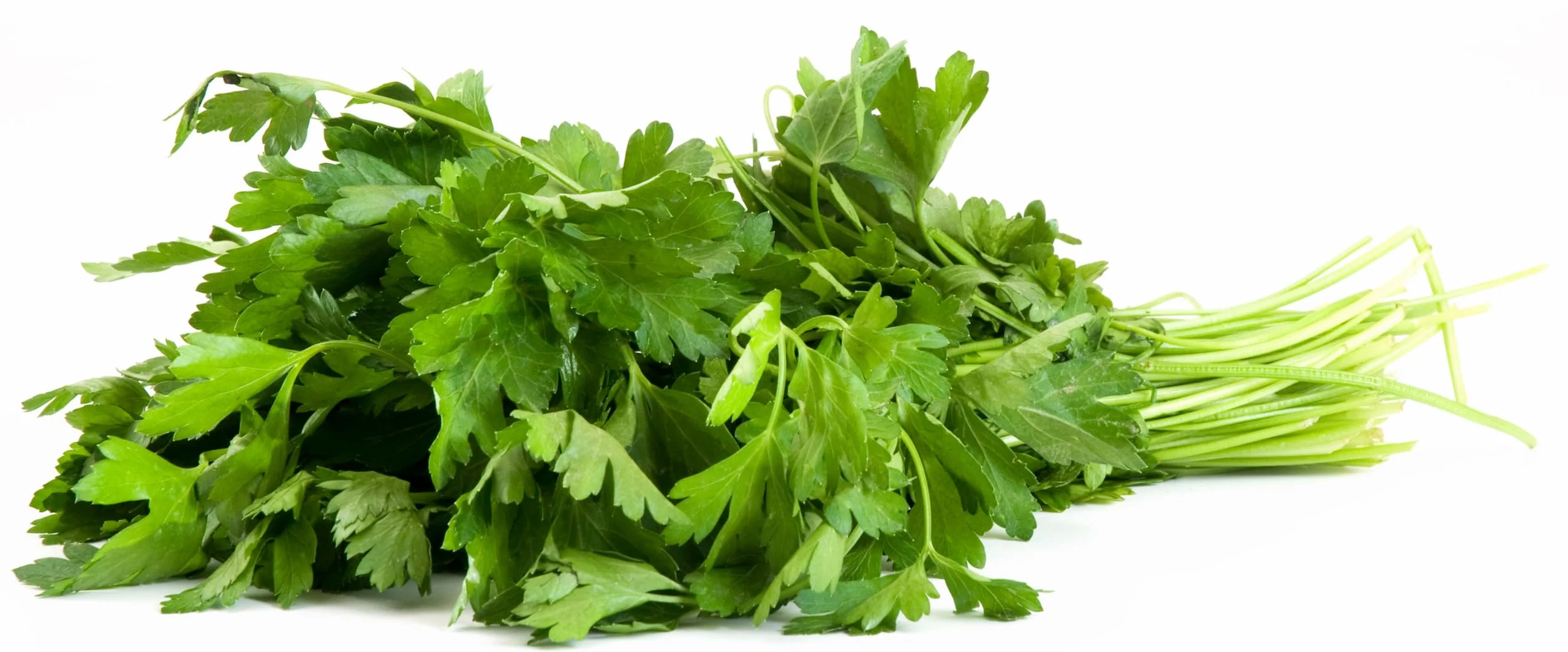 Rani Fresh Cilantro (Coriander) Leaves 5oz - 7oz, Pack of 3 ~ All Natural | Vegan | Gluten Friendly | NON-GMO | Product of USA - Image 6