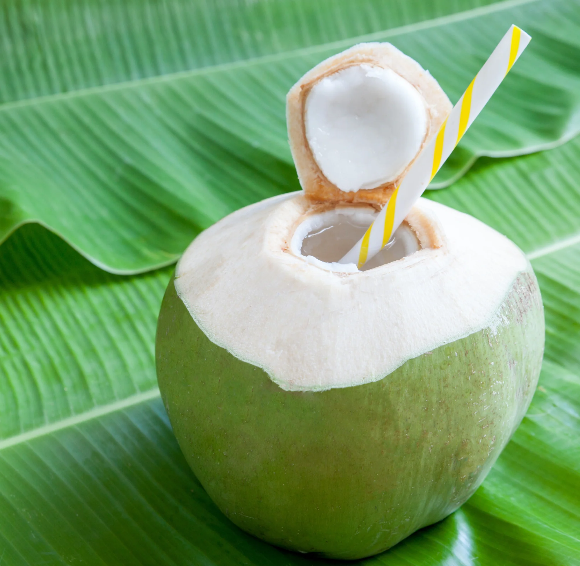 Rani Fresh Coconut Whole Green with Water, Approx. 4lbs each {2 Variations Available} - Image 7