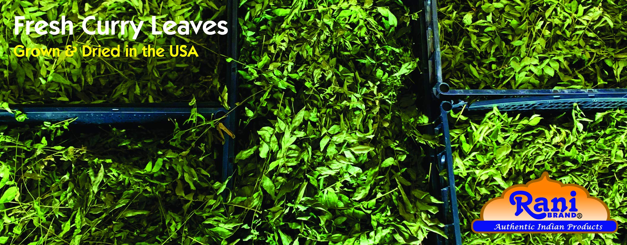 Rani Fresh Curry Leaves 1oz (28g) ~ All Natural | Vegan | Gluten Friendly | NON-GMO - Image 3