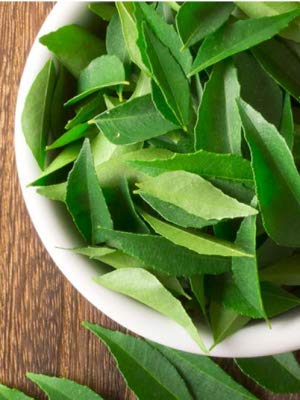 Rani Fresh Curry Leaves 3oz (Pack of 3 x 1oz) ~All Natural | Vegan | Gluten Friendly | NON-GMO - Image 4