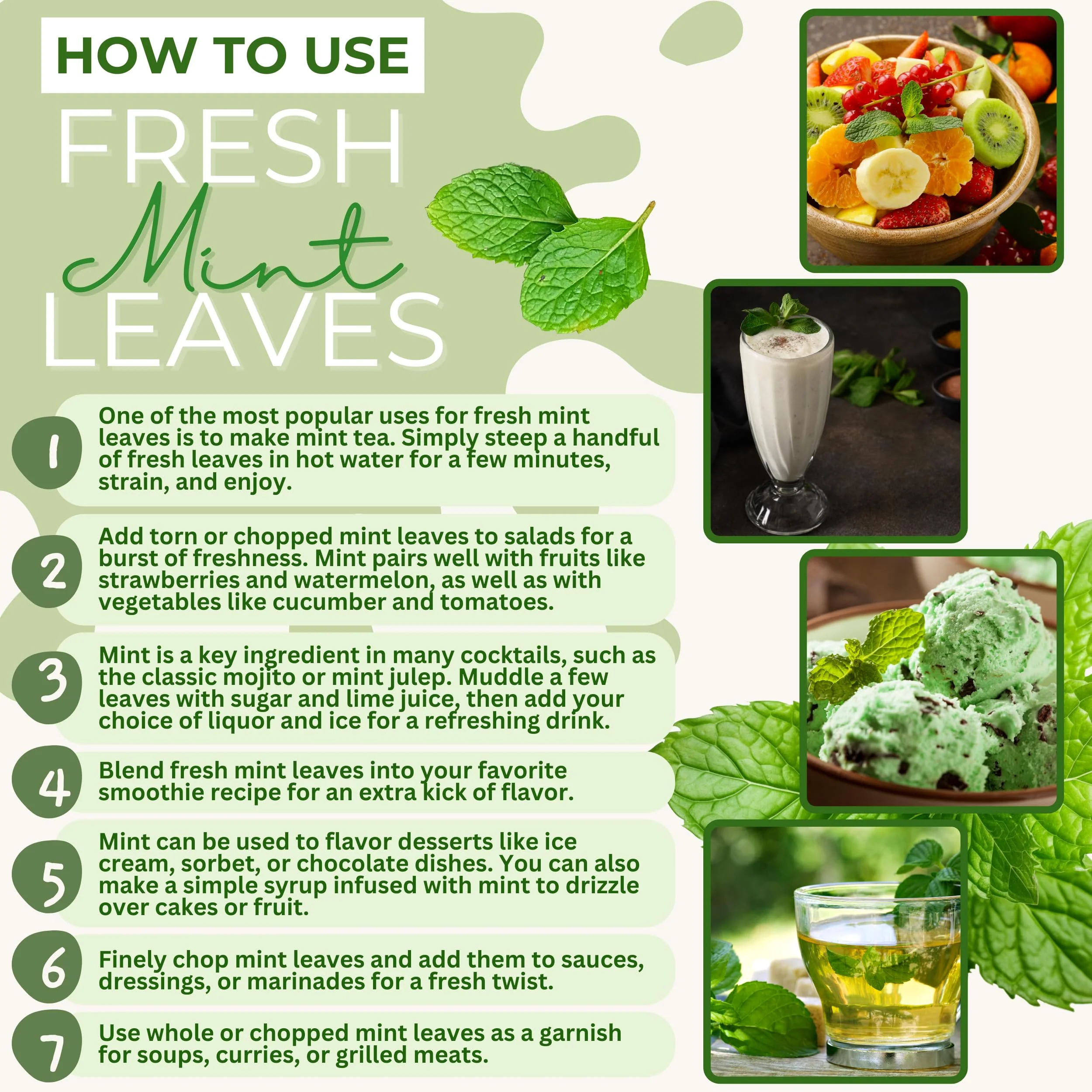 Rani Fresh Mint (Pudina) Leaves 1.5oz - 2oz, Pack of 1 ~ All Natural | Vegan | Gluten Friendly | NON-GMO | Product of USA - Image 2