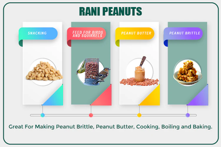 Rani Peanuts, Raw Whole With Skin (uncooked, unsalted) 25lbs (400oz) 11.36g Bulk Box ~ All Natural | Vegan | Gluten Friendly | Fresh Product of USA - Image 4