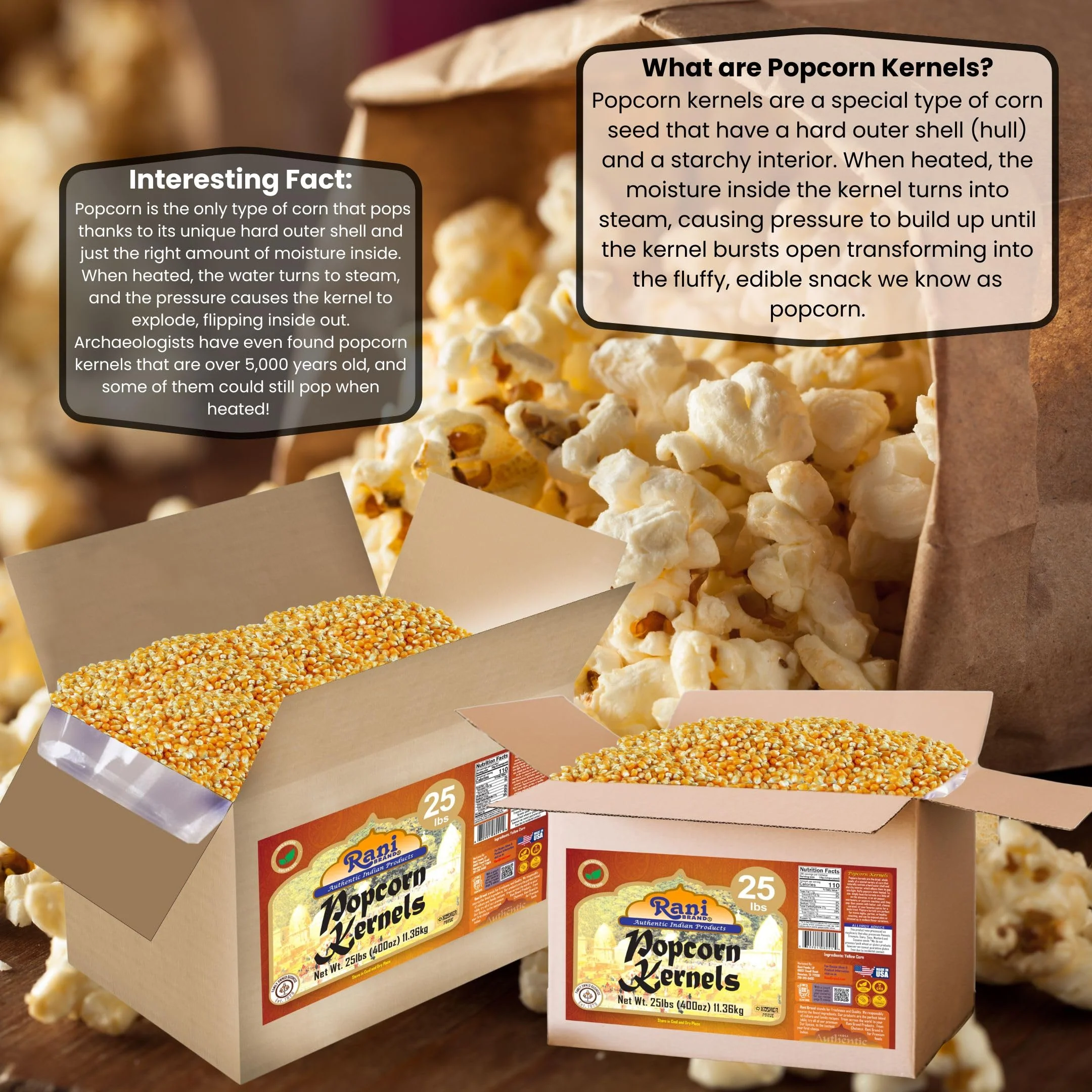 Rani Popcorn Kernels 400oz (25lbs) 11.36kg Bulk, Perfect for Stovetop, Microwave & Popcorn Machines ~ All Natural | Gluten Friendly | Vegan | NON-GMO | Kosher | Product of USA - Image 3