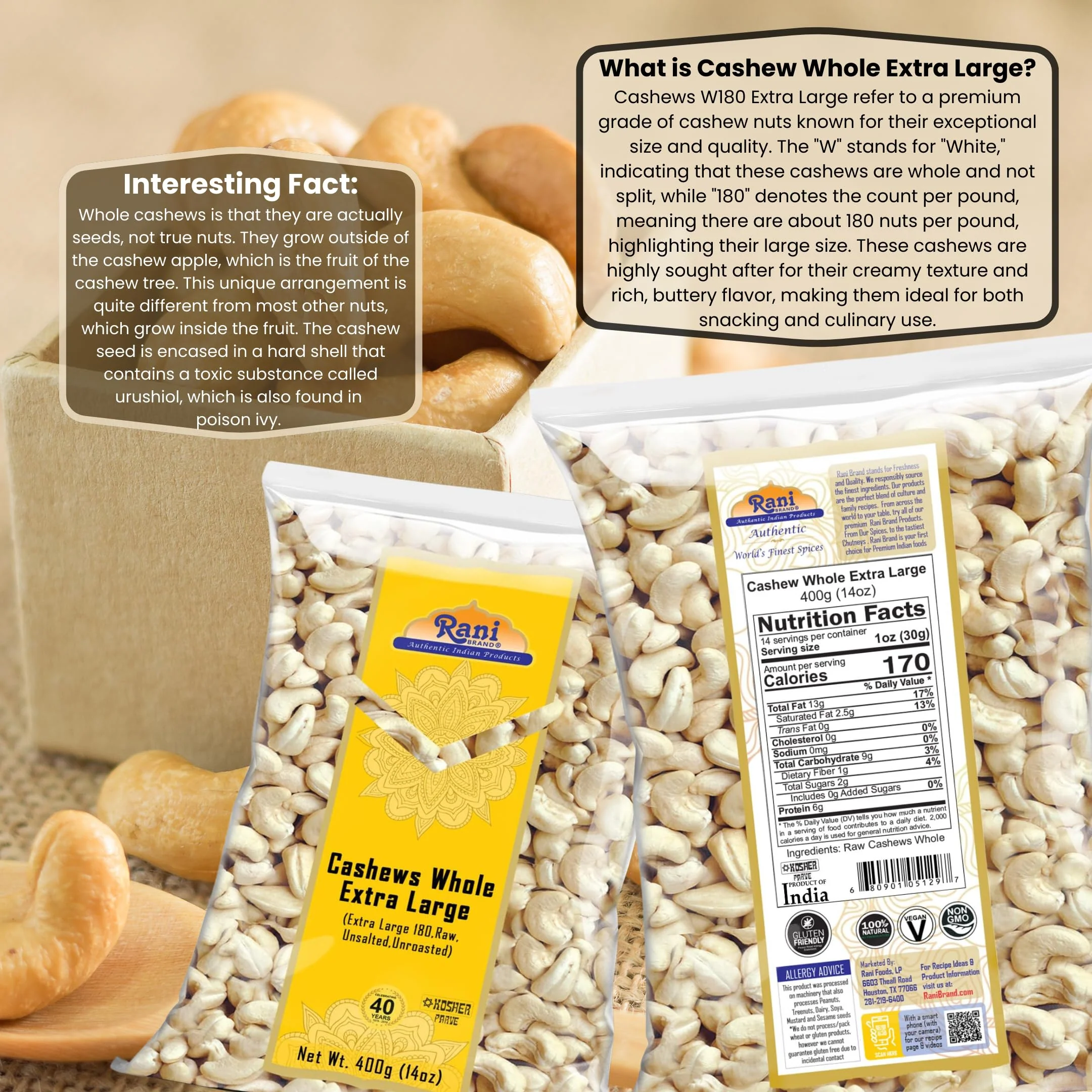 Rani Raw Cashews Whole W180 Extra Large (uncooked, unsalted) 14oz (400g) ~ All Natural, No Preservatives | Vegan | NON-GMO | Kosher | Gluten Friendly - Image 3