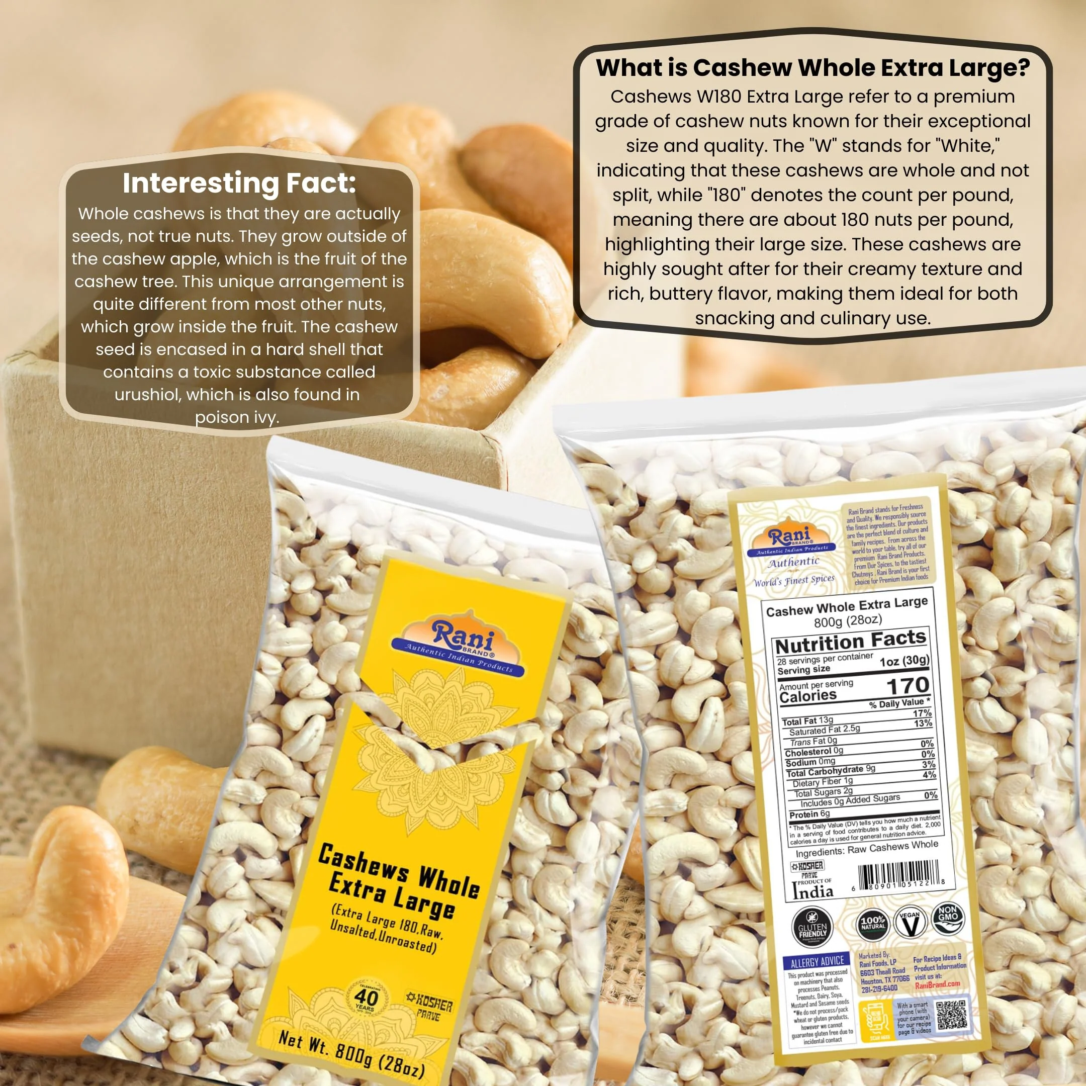 Rani Raw Cashews Whole W180 Extra Large (uncooked, unsalted) 28oz (800g) ~ All Natural, No Preservatives | Vegan | NON-GMO | Kosher | Gluten Friendly - Image 3
