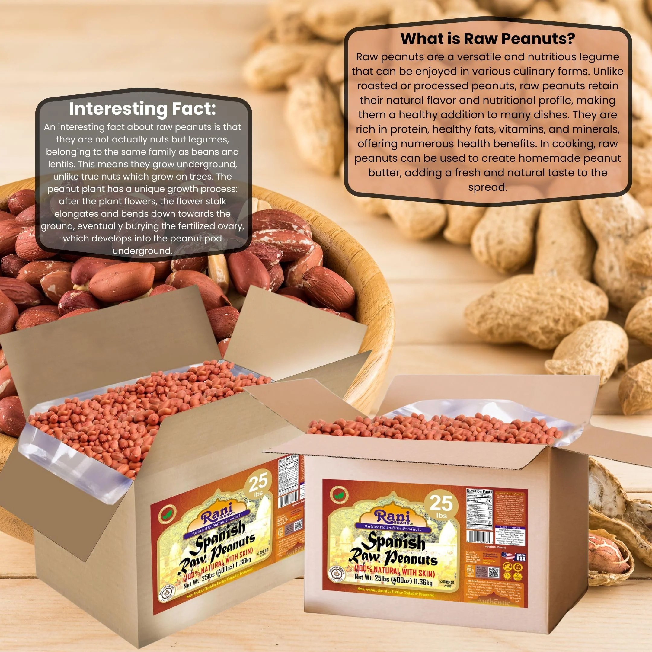 Rani Raw Spanish Peanuts 100% Natural with Skin (uncooked, unsalted) 25lbs (400oz) 11.36kg Bulk Box ~ Vegan | Gluten Friendly | Fresh Product of USA | Kosher | Red-brown Skin - Image 3