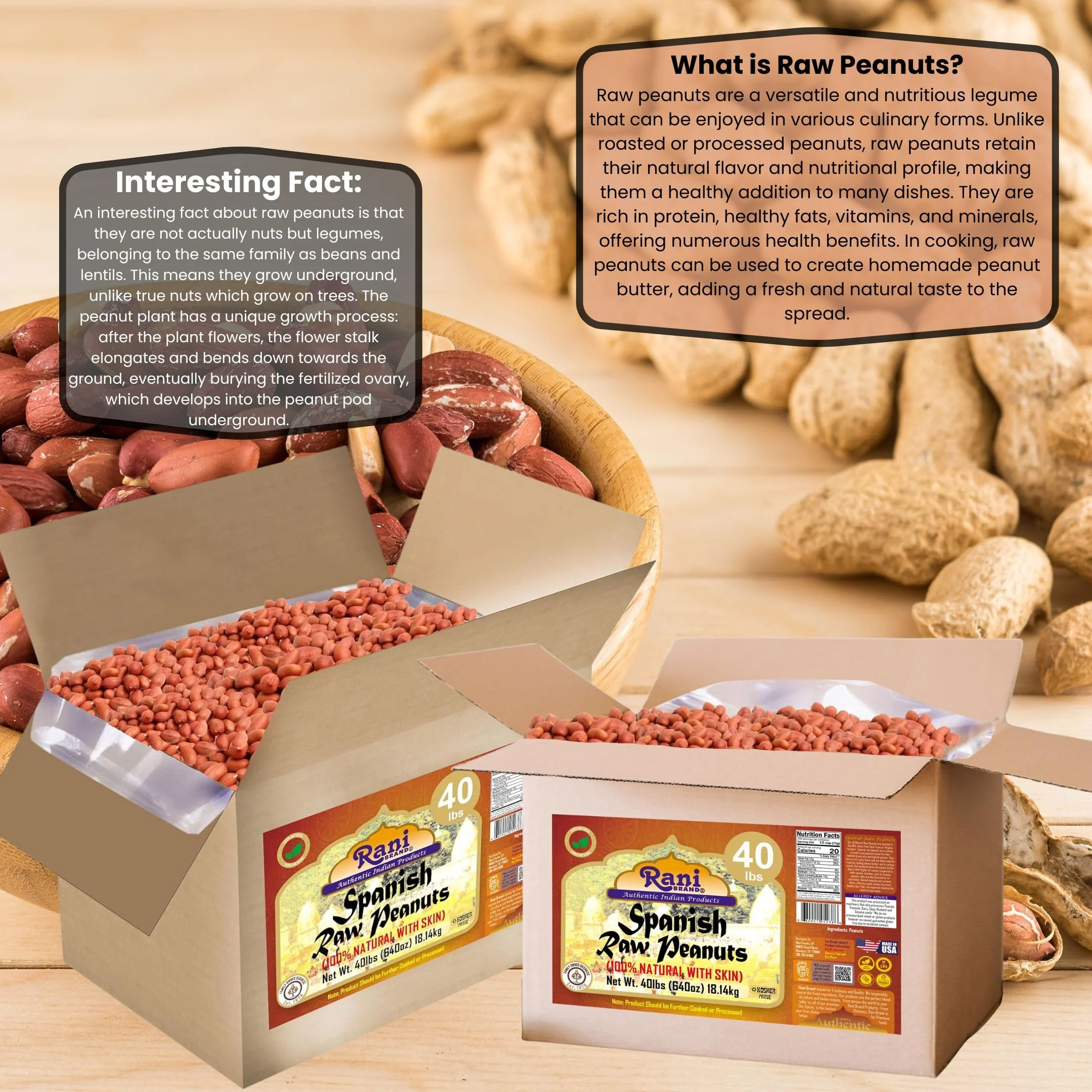 Rani Raw Spanish Peanuts 100% Natural with Skin (uncooked, unsalted) 40lbs (640oz) 18.14kg Bulk Box ~ Vegan | Gluten Friendly | Fresh Product of USA | Kosher | Red-brown Skin - Image 3