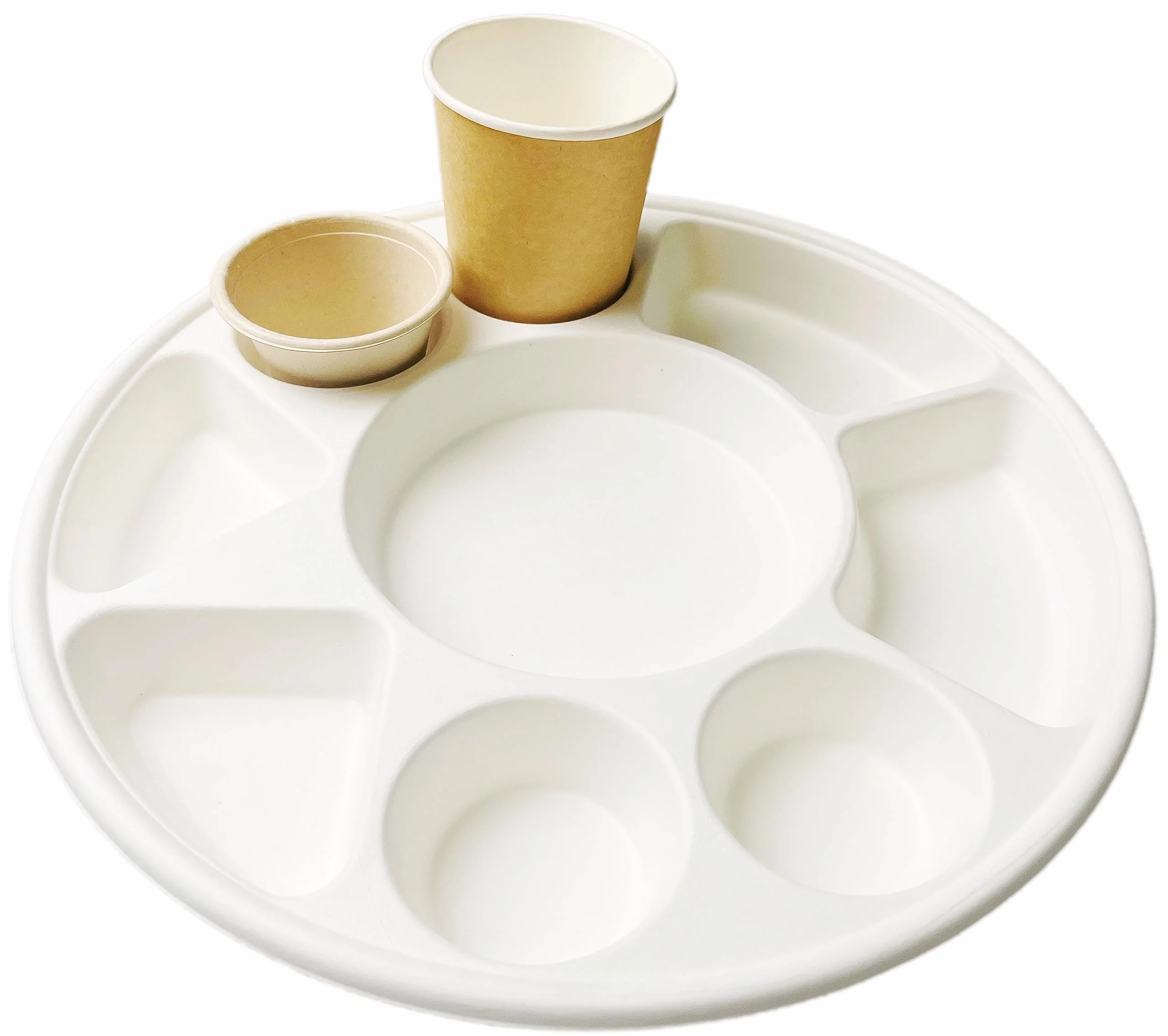 Rani Round Biodegradable Divided Plates, Pack of 100, 9 Compartments ~ Disposable & Eco-Friendly | 12.44" Diameter, 1.38" Thickness | Heavy-Duty and Sturdy Disposable Bagasse Plates | Premium Quality - Image 3
