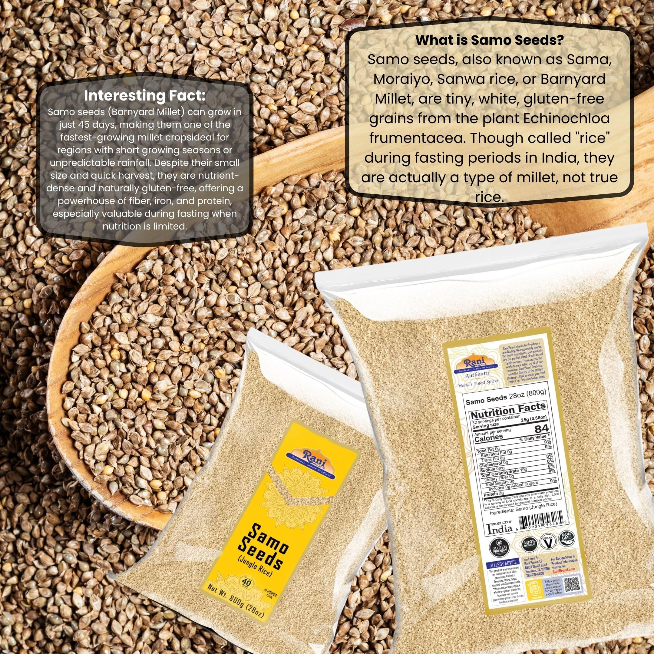 Rani Samo Seeds Whole 28oz (800g) Bulk ~ Japanese barnyard millet / Jungle Rice/Moriyo/ Samak Rice Echinochloa frumentacea ~ All Natural | Vegan | Gluten Friendly | Kosher | NON-GMO | Indian Origin - Image 3